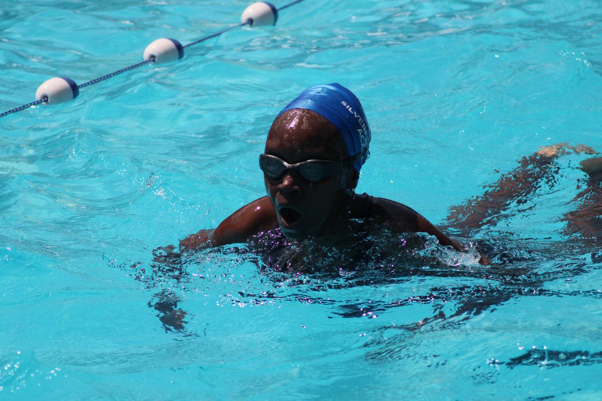 Silverfin Academy tweet media