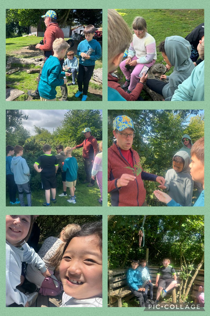 We had a great time this morning making fire and exploring nature 🔥💐Bore hyfryd yn yr awyr agored☀️🌳