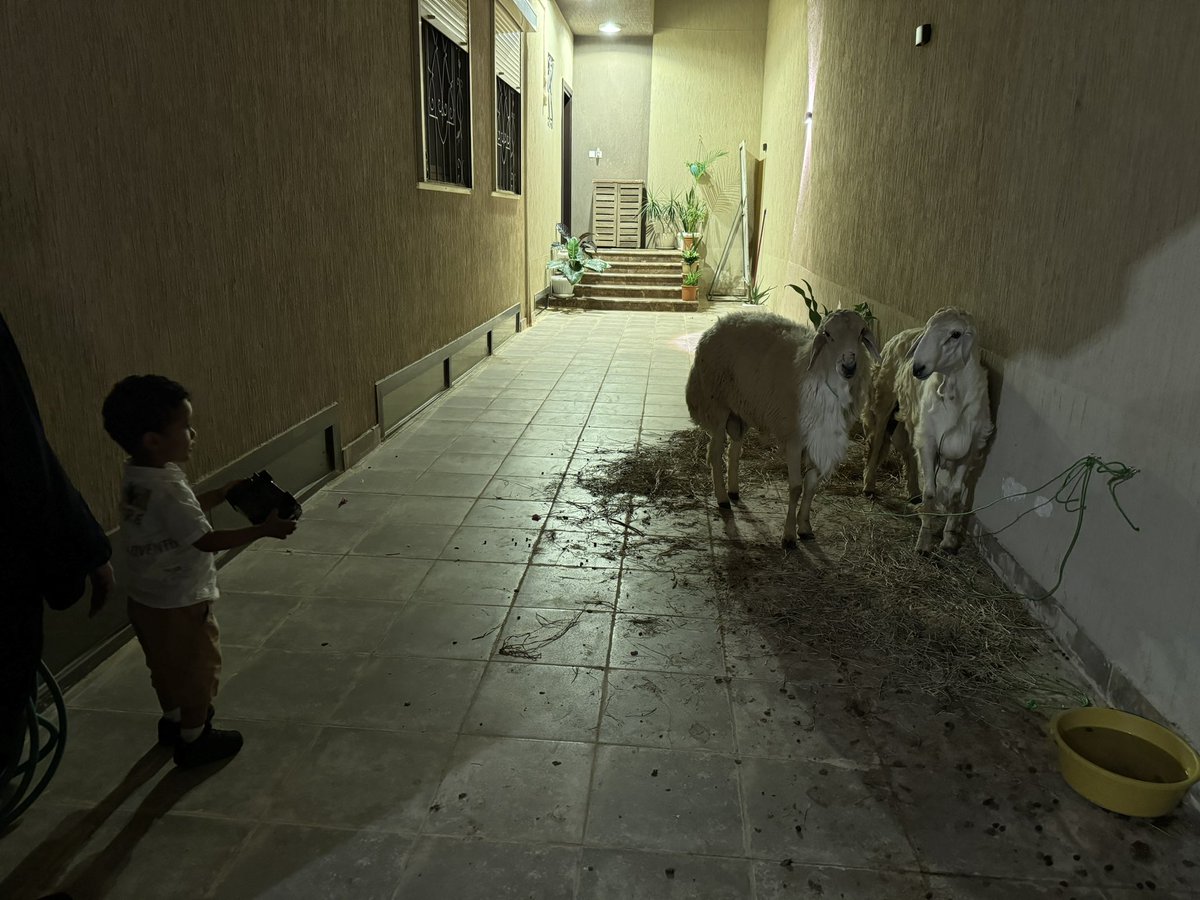 وِجدان tweet media