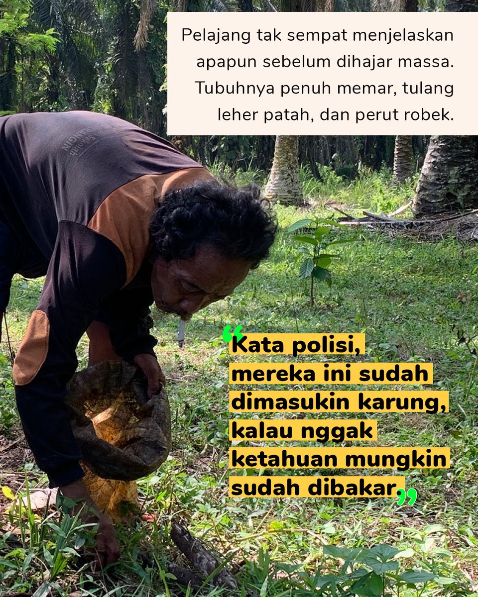 Pelajang bukan pencuri. Ia adalah Orang Rimba yang dipaksa bertahan hidup di tengah cengkraman kebun sawit. Sejak 1982, Jambi telah kehilangan lebih dari 2 juta ha kawasan hutan. Area hutan tempat Orang Rimba hidup serba terbatas. Kelaparan jadi ancaman.

projectmultatuli.org/pembunuhan-ora…