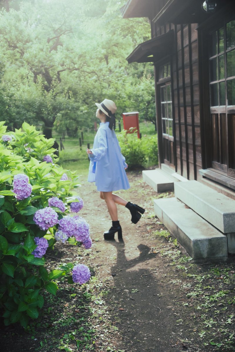 szuuxlo's tweet photo. 紫陽花を求めて彷徨うように。 https://t.co/BaeZNKGjqQ