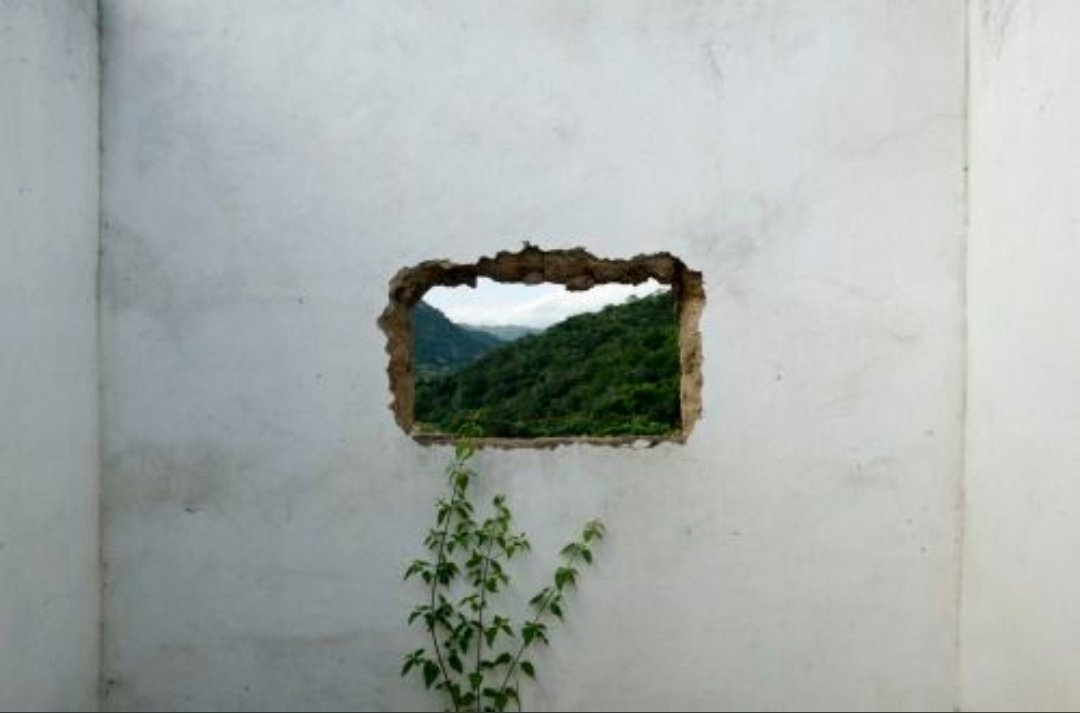 Ozi__06's tweet image. İnsan, içindeki üzüntüyü bir kelime bile etmeden karşısındakinin anlayabilmesini ister. Ne güzeldir, bir bakışta bütün eksikliğini bütün sızını gören birinin varlığı. Hepimizin düşlediği şey budur. Hislerimize sessizliğimize bir tercüman. #içses #his #algı #anlayış...