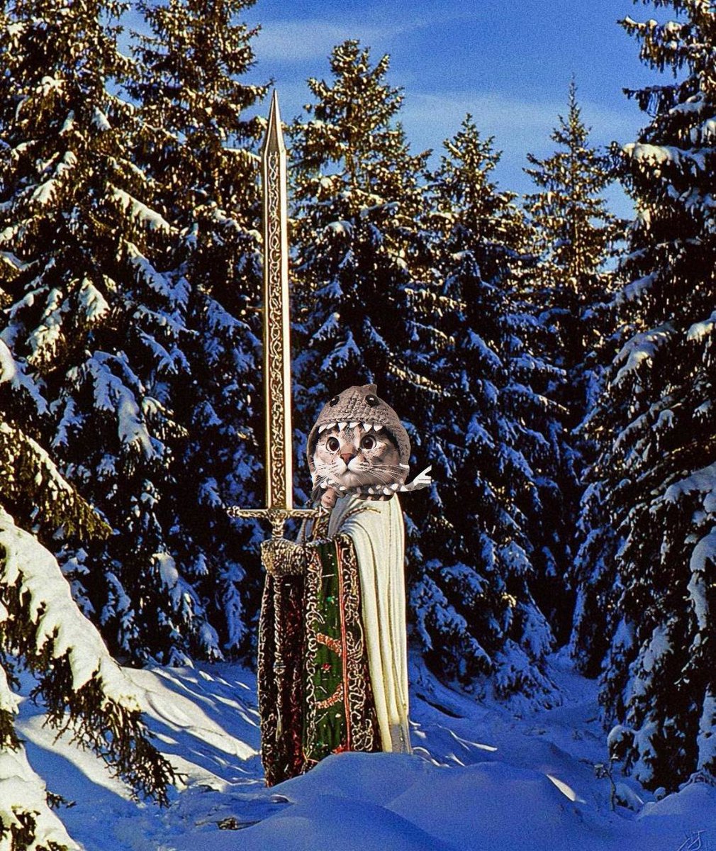 one day the world will look back on the crazy MFS who show up to post sharkcat memes no matter the circumstances and wonder what drove us 

and we will tell them 

the cat is a mf shark

🦈🐱⚔️  $SC