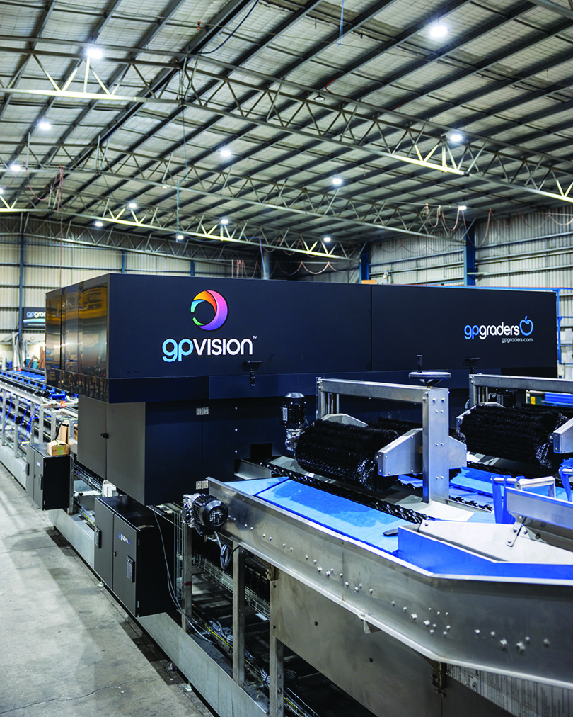 GPGraders's tweet image. Full size tomatoes are the next fresh produce line to benefit from the power of gpVision™ with this brand new tomato grader on it’s way to a Victorian grower.
--
#TomatoSorting #DefectDetection #SuperiorSortingTechnology #gpVision #VisionSorting