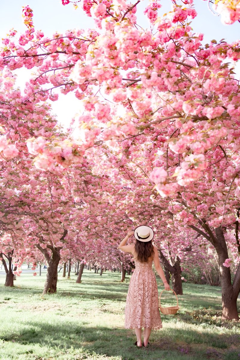 Aklım fikrim sende,
Senin gelişinde,
Seni ne zaman göreceğimde,
Seni nasıl göreceğimde,
Beni görür görmez ne diyeceğinde..

— Nazım Hikmet Ran