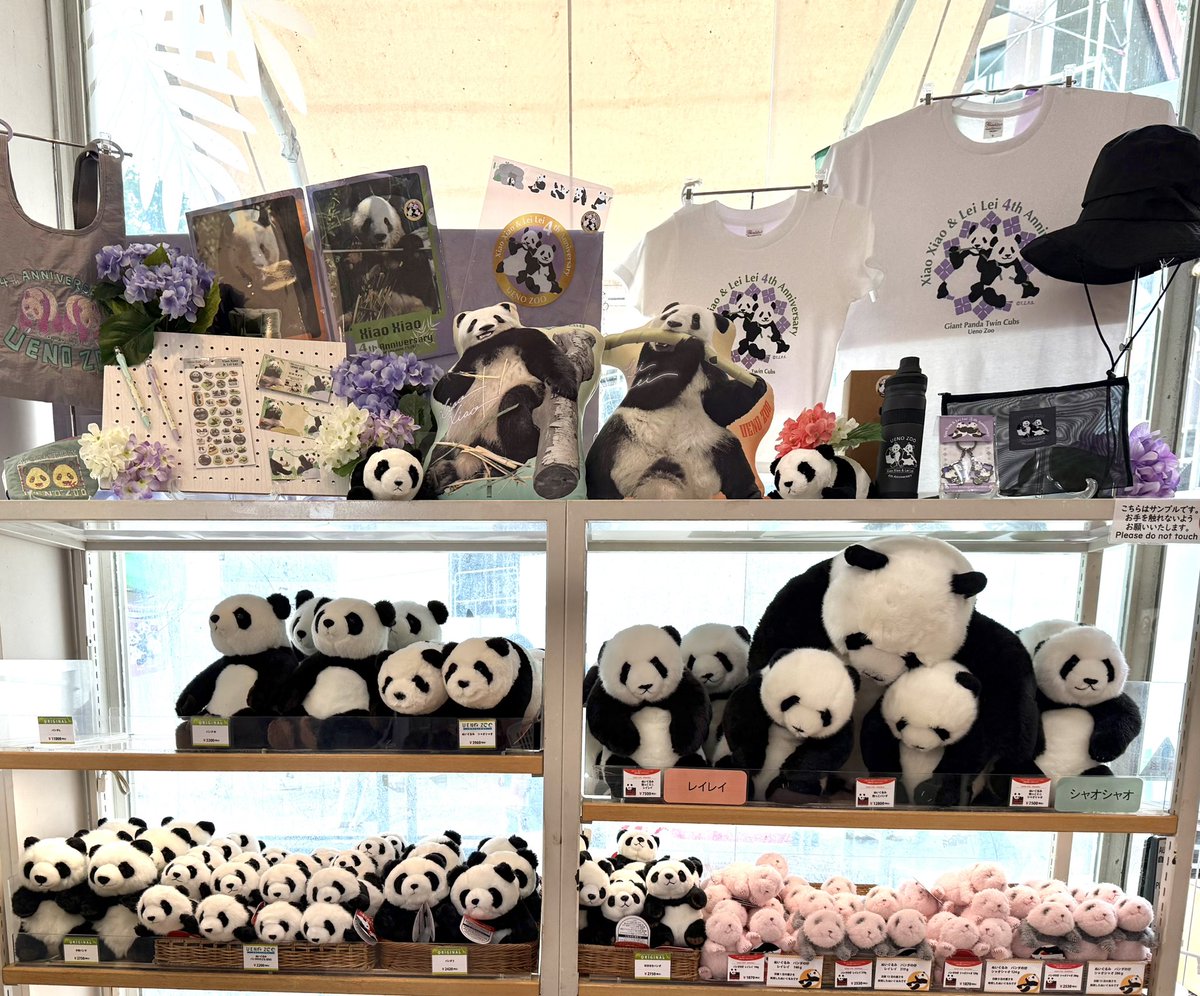 memi_tan's tweet photo. #シャオシャオ🐼#レイレイ🐼４歳グッズ

①数年前に販売されたシャンシャン🐼クッションとの大きさ比較
②後ろも可愛い実写入り
③戦利品(5千円以上で貰えるミニファイル込み)
④新グッズの店舗ディスプレイ

みんな可愛いけど特に実写グッズは嬉しいな〜💕
#上野動物園 #シャオレイ #パンダ https://t.co/7h0ZM8lcLp