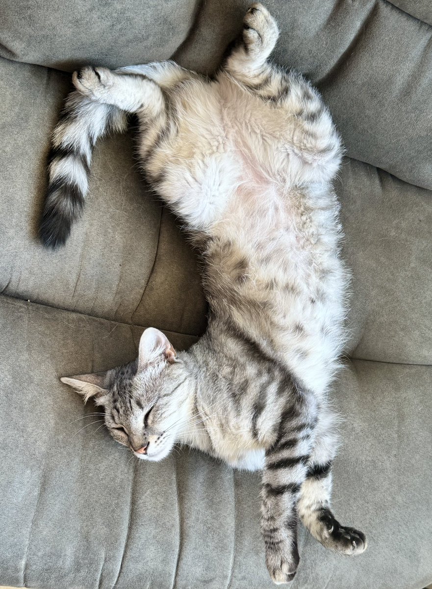 Ingrid Schouten🇮🇹🇳🇱 tweet media