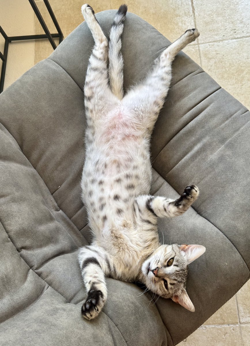 Ingrid Schouten🇮🇹🇳🇱 tweet media