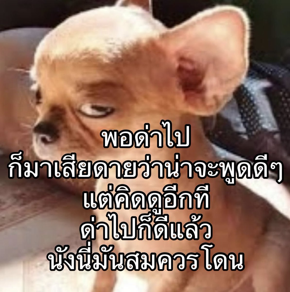 เสียใจที่คิดคำด่าเด็ดๆได้ทีหลัง