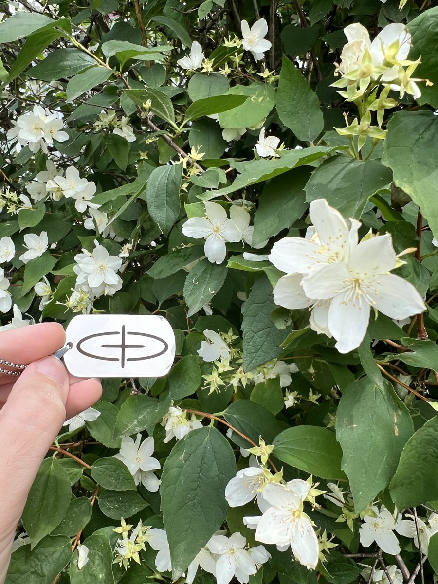 Summer’s in full bloom.
The air is still, jasmine everywhere.
Sometimes you just need to step outside, feel the ground, breathe it in.

And still - <a href="/sophon/">sophon</a> is there.
No screen, no noise. Just presence.

The chain doesn’t break when you touch the grass.
(((+)))