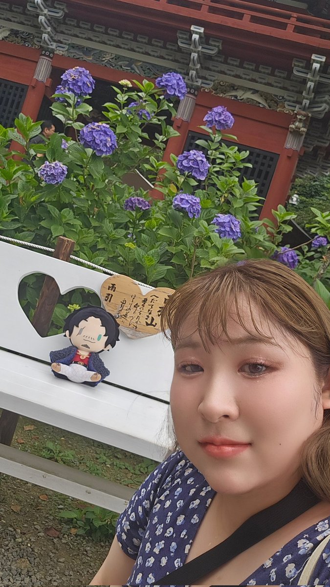 F__niko's tweet photo. 雨引観音あじさい祭デートしてきました💠🌿 ܸ💠🌿 ܸ💠🌿 ܸ💠🌿 ܸ https://t.co/ZgEVnCOQWh