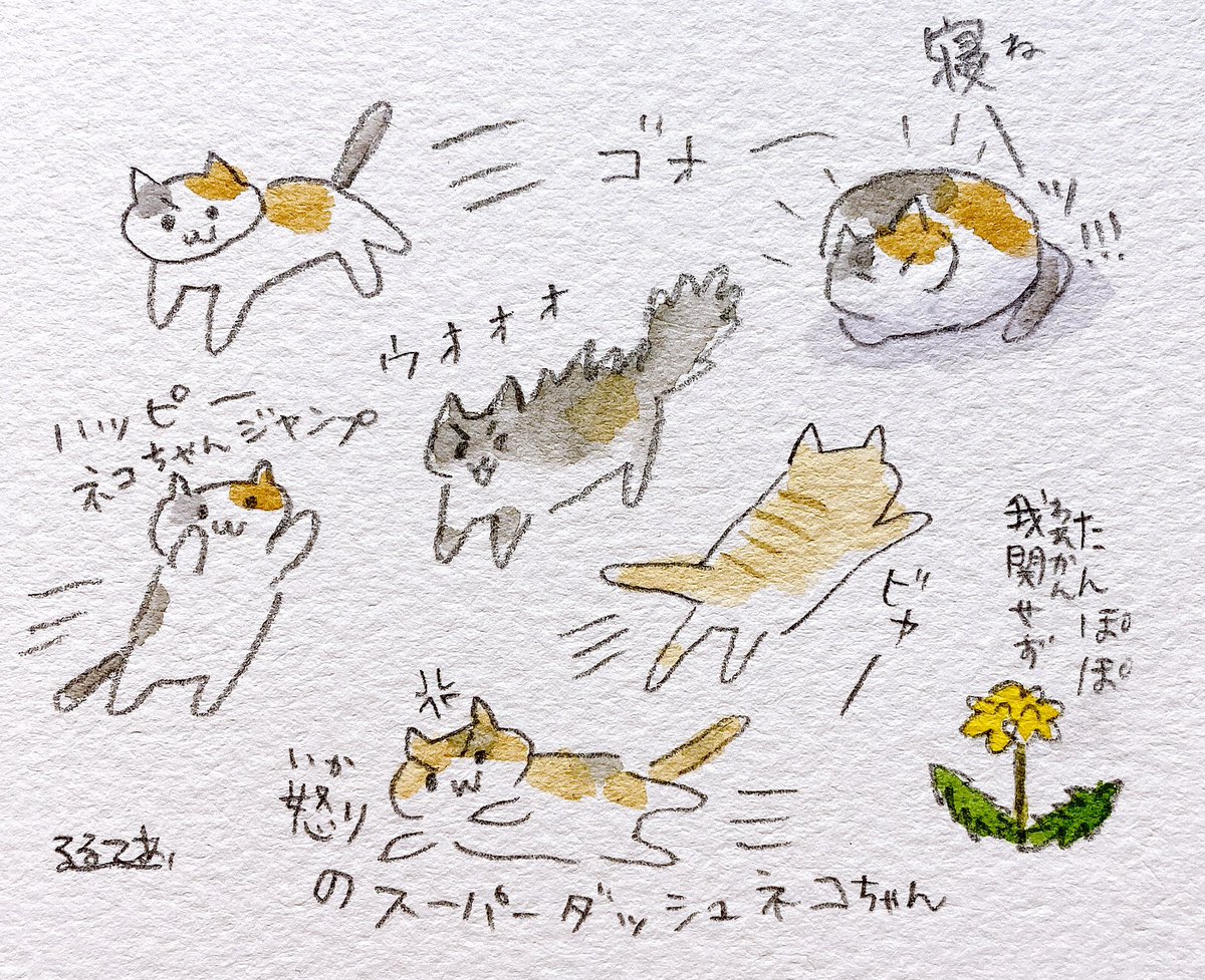 るるページ スーパーネコちゃんタイム