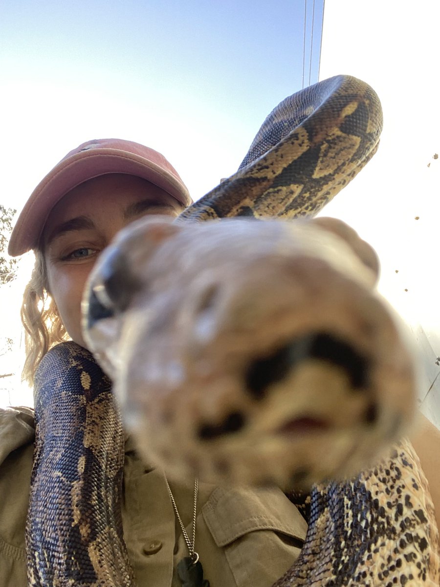 ferylstreep69's tweet photo. havent used this ass website since it got taken over by nazis, anyway i’m a zookeeper in australia now https://t.co/pENvvFGO1b