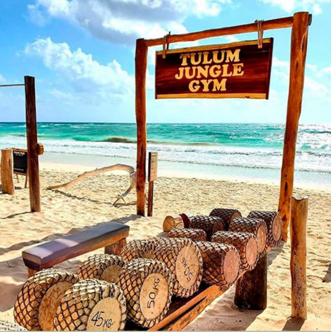 ArabicMentionTo's tweet photo. Outdoor 😍
jungle gym https://t.co/IMkZUl7ika