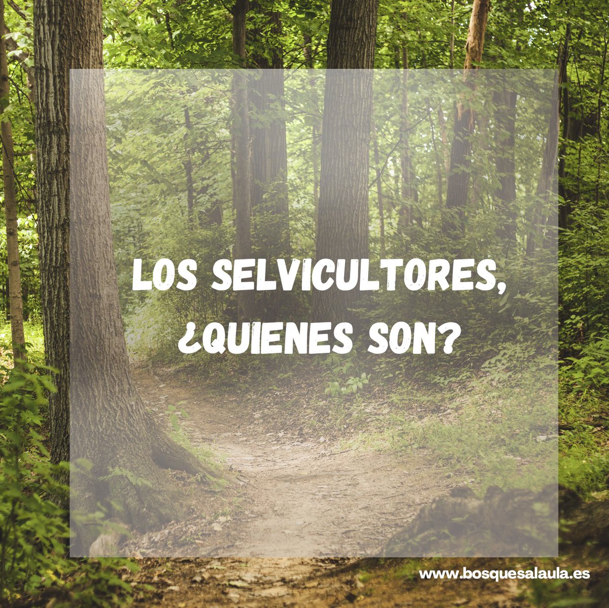 Ángel Roldán. En los bosques te cuento tweet media