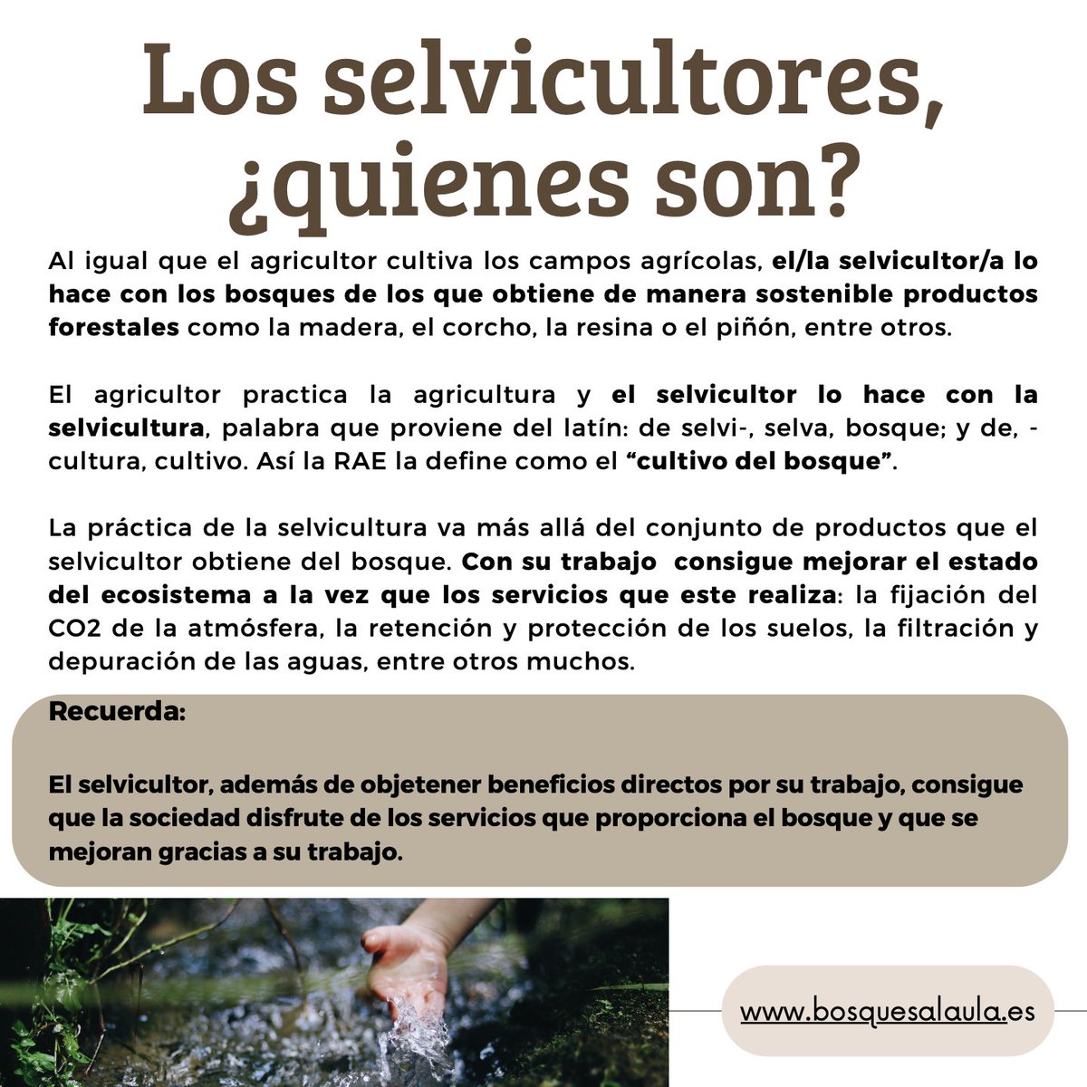 ¿Conoces a los SELVICULTORES? Si el agricultor practica la #agricultura, el pescador la #pesca o el ganadero la #ganadería, ¿qué actividad realizan los #selvicultores? 

Descubre esta y otras informaciones en bosquesalaula.es