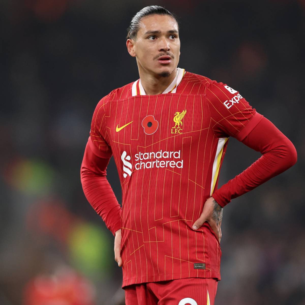 LeJournalDuMercato tweet media