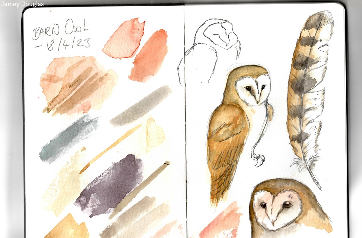 Slow down. 🌿 Look closer. 🎨 

This week’s #30DaysWild challenge: start a nature journal! 

✏️Draw a flower 
🐦Sketch a bird 
📝 Add little notes 

Don’t worry about being perfect. This is your peaceful corner of the wild. 
👉  wildlifetrusts.org/blog/30-days-w…