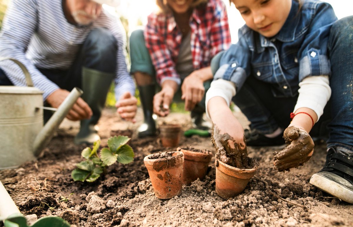 🌍 Boycott Your Bed Day 2025 encourages people to break free from their daily routines by avoiding their beds for a full day
🛏️ No bed. Just action.
🌱 Why not enjoy some gardening jobs in the garden instead? 

#SafeSoilUK #SoilMatters #BoycottYourBed