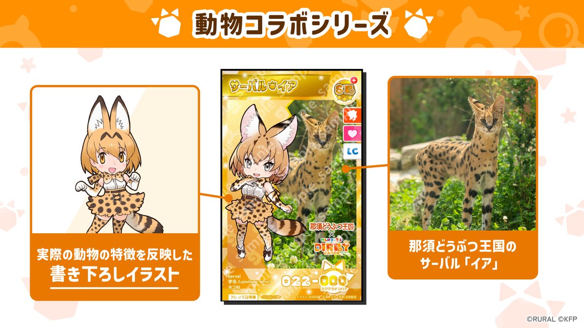 動物コラボシリーズの紹介！📣 ＼ 動物園に実際にいる動物がフレンズ