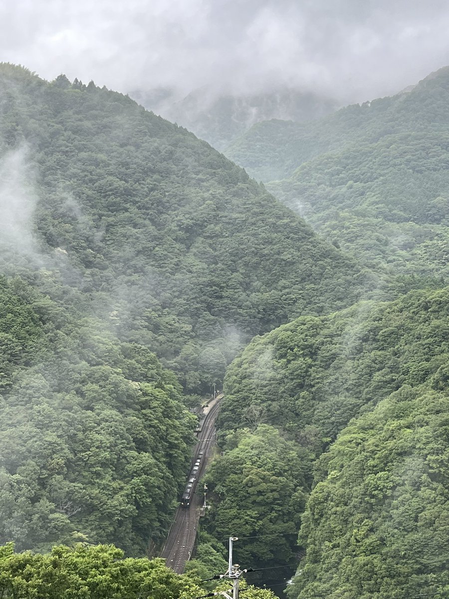 子供の頃から気になっていた大歩危/小歩危/坪尻に行くことができた。色んなところを旅してきたけど、まだ想像を超える絶景があることに気付かされた！