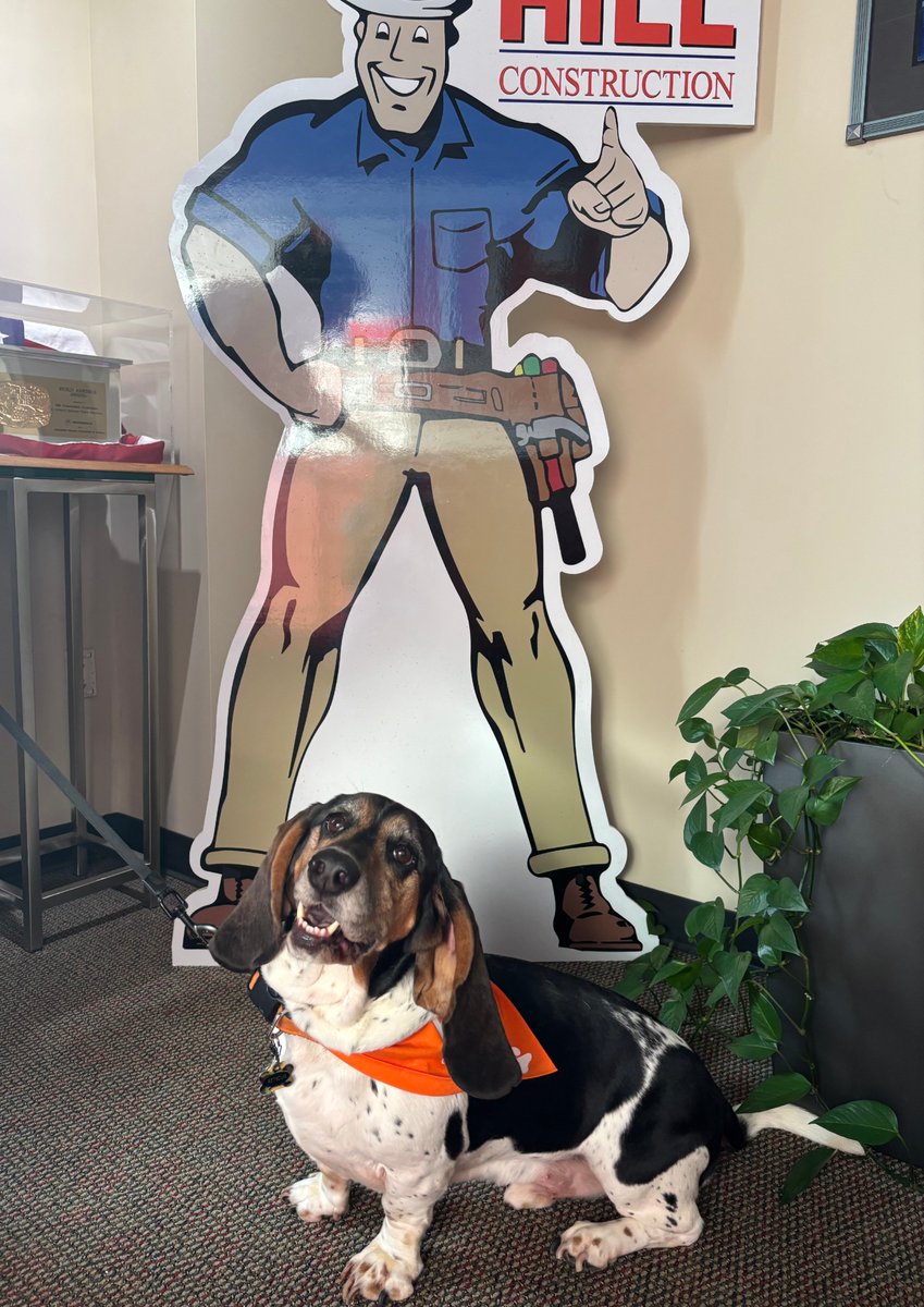HillCon's tweet photo. The Dog Days of Summer are here, and we’re officially kicking off #HillDogoftheMonth!

Leading the pack is Atticus. With ears engineered for peak cuteness and a tail that never quits, he’s already made a strong impression on the crew.

#BuiltWithBark #DogOnDuty #FurryFridays https://t.co/H3ukkZwDIU