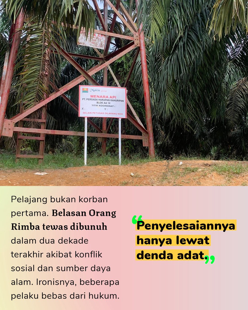 Orang Rimba dikepung sawit dan menjadi asing di tanah leluhurnya sendiri. Hutan yang dulu mereka jaga turun temurun, ‘dijual’ pemerintah atas nama investasi dan pembangunan. Pelan-pelan hutan kehilangan tuannya.

projectmultatuli.org/pembunuhan-ora…