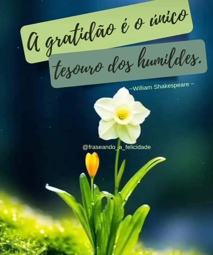 Marcia Ol🚩 tweet media