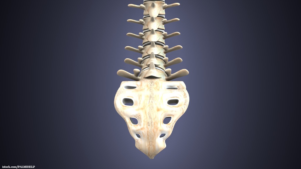 Lumbosacral transitional vertebrae: discrepancies in the correct vertebral level in referral notes, MRI, and treatment location are common, with uncertainty in the appropriate level leading to more consultations, diagnostic images, and treatments.  ow.ly/rjft50W1YR4