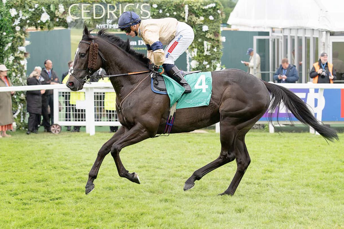 Hambleton Racing (@hambletonracing) on Twitter photo SPARTAN ARROW is in Listed action at Chantilly this afternoon for <a href="/Archie_Watson/">Archie Watson Racing</a> 👀
Plenty of his owners have headed over to France to cheer him on today and we wish them all the best of luck! 🤞 🍀 SPARTAN ARROW is in Listed action at Chantilly this afternoon for <a href="/Archie_Watson/">Archie Watson Racing</a> 👀
Plenty of his owners have headed over to France to cheer him on today and we wish them all the best of luck! 🤞 🍀