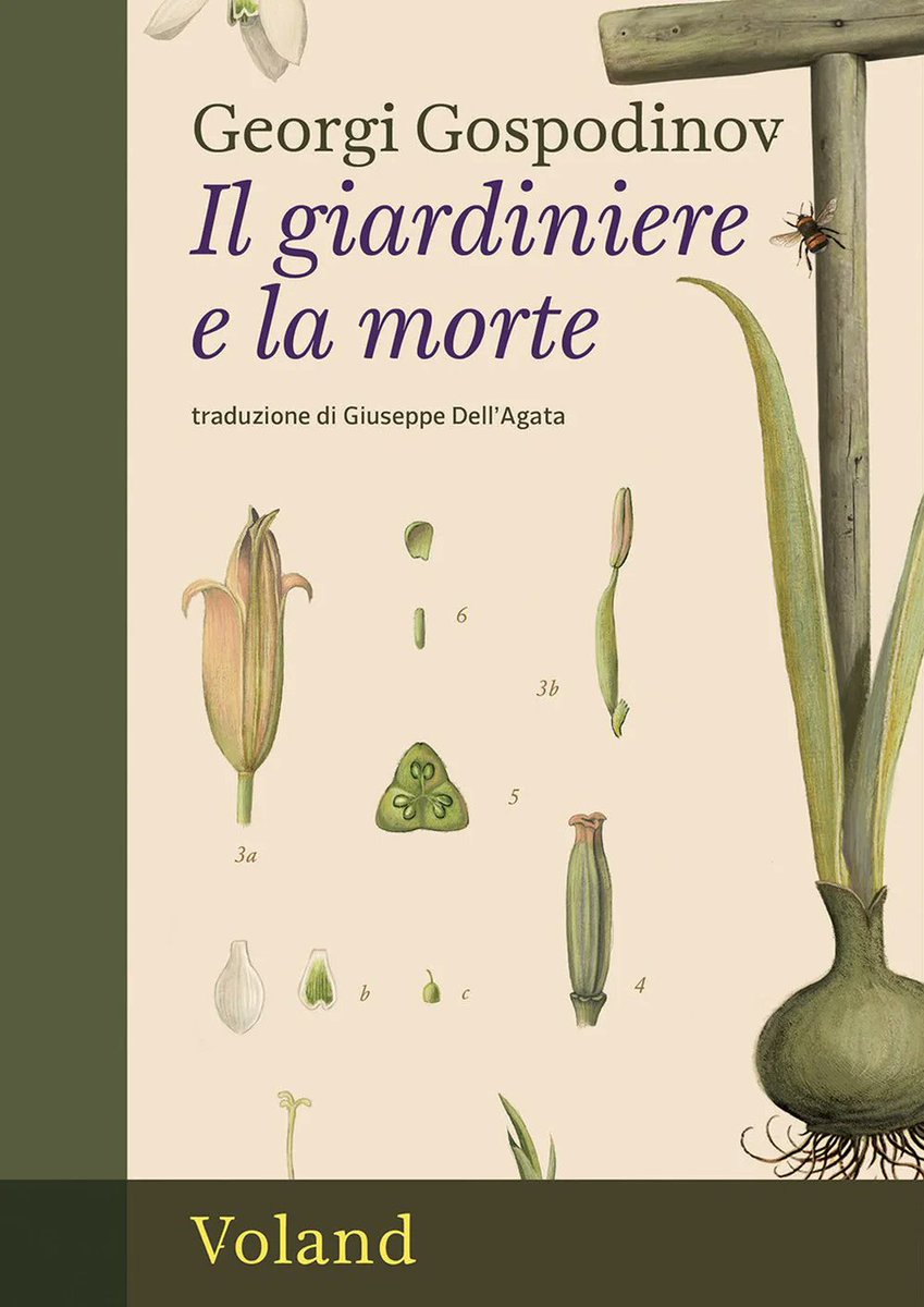 Memoir e dissertazione filosofica, racconto familiare e ricognizione storica della Bulgaria “Il giardiniere e la morte”(Voland) è il più recente volume di <a href="/Gospodinov68/">Georgi Gospodinov</a> incentrato sull'addio al padre e sul giardino che amava e curava...
Scrive <a href="/Sabri_book/">Sabri_</a>
lucialibri.it/2025/06/24/gos…
