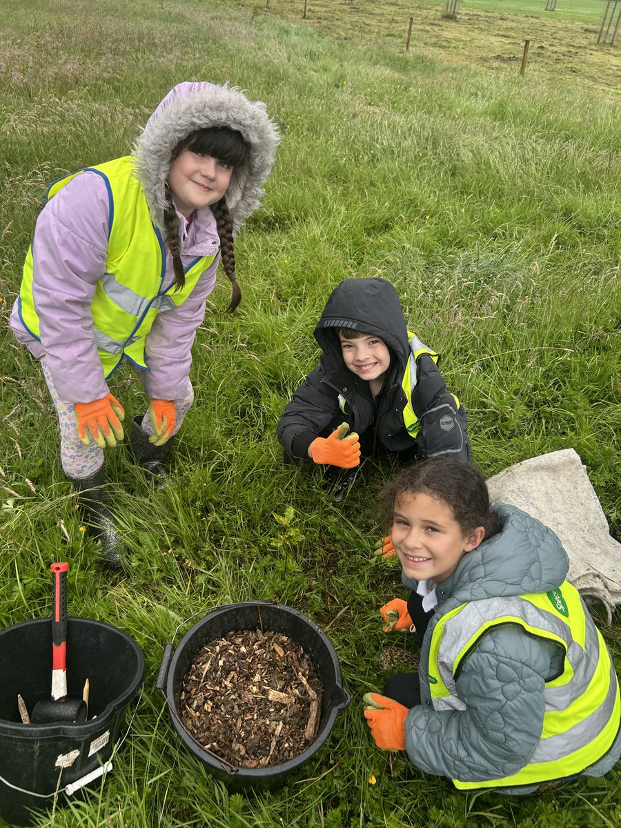 Some more pictures from this morning 🌧️🌳