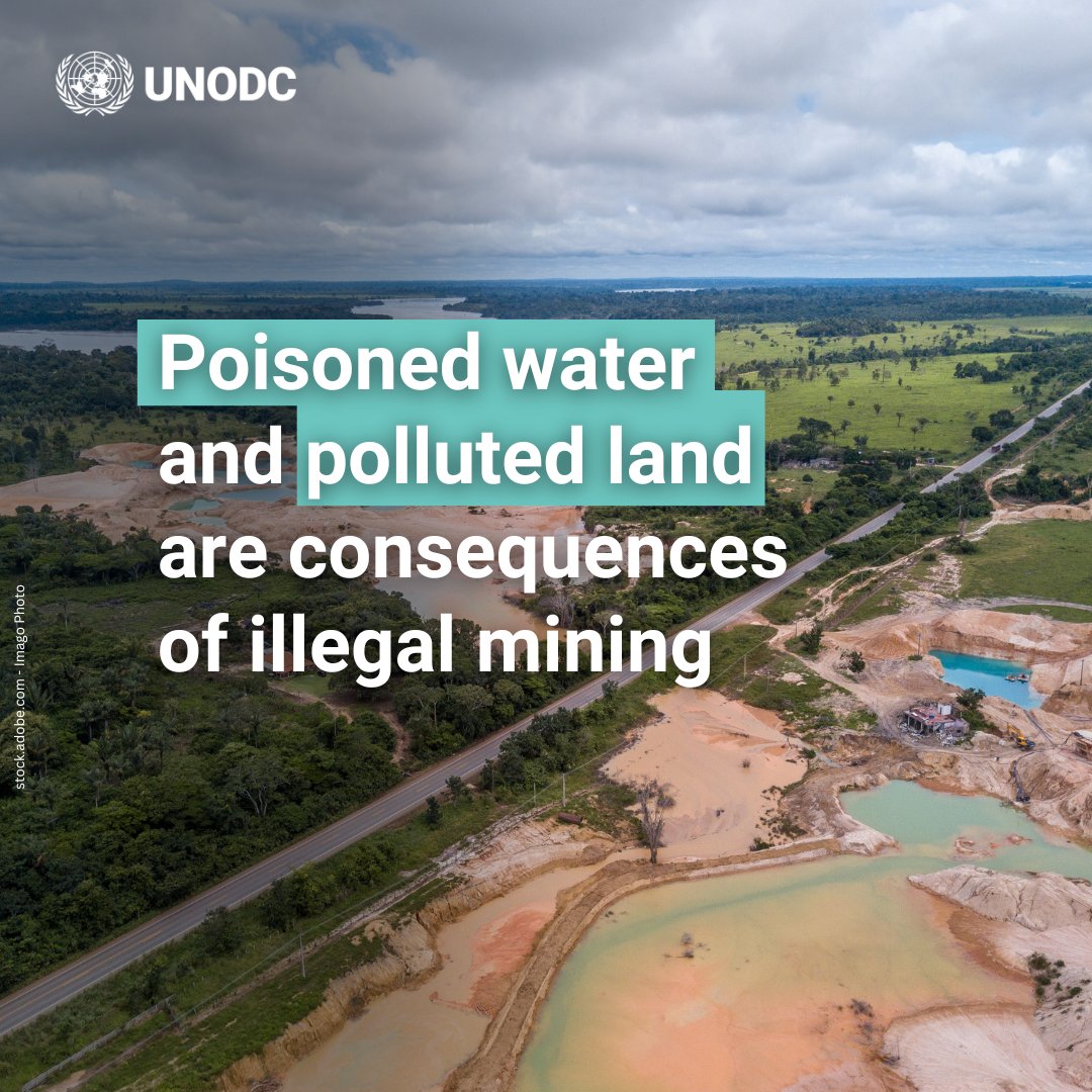 UNODC_ENV's tweet image. Mercury use in artisanal gold mining poisons water and soil.
The damage to ecosystems and local communities’ health is often irreversible.
Tracing and monitoring hazardous chemicals in mining can help reduce these risks.
bit.ly/43wdTNk
#endENVcrime