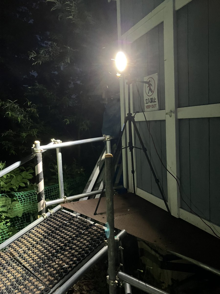 今峰ライト ワット数調整可能 最小50ｗ～最大94w程度　HID ライトトラップ 今峰ライト ワット数調整可能 最小50w～最大94w程度 HID ライト