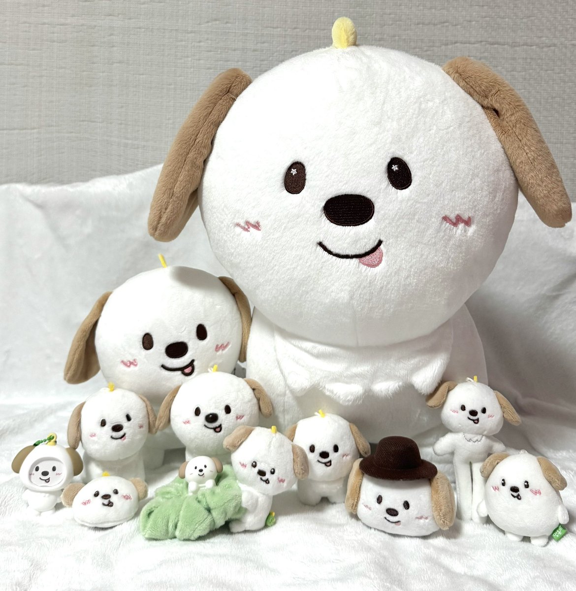 갖고있는 멍룡이들 종류별로
딱 한마리씩만 모아봣는데
개모임이되