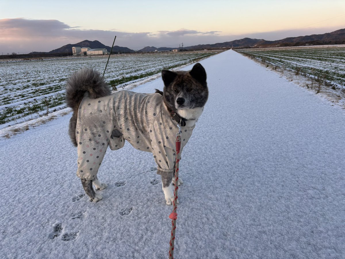 #暑すぎるので雪の画像で涼もう見た人もやる