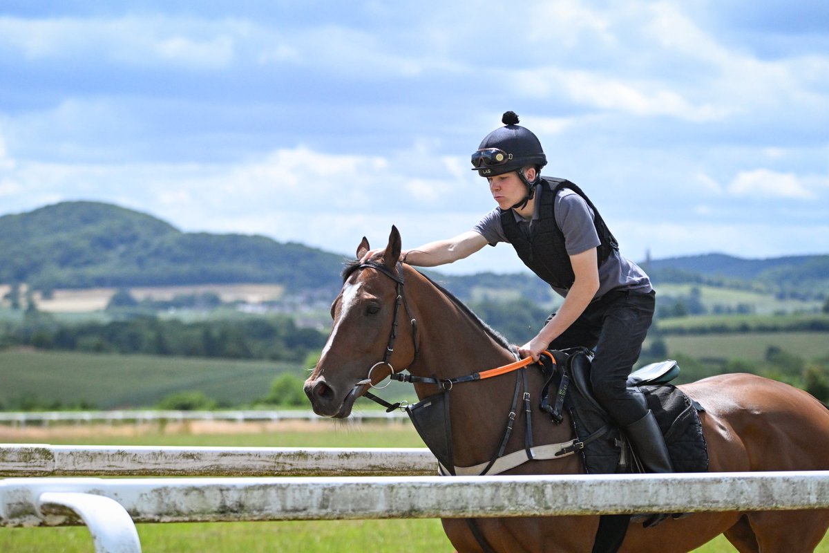 DML Racing (@dml_racing) on Twitter photo Celebrating all the incredible team here during Racing Staff Week 2025. Their care and dedication doesn’t go unnoticed! 💪🏼
#RacingStaffWeek #RSW2025 <a href="/Racingwelfare/">Racing Welfare</a> Celebrating all the incredible team here during Racing Staff Week 2025. Their care and dedication doesn’t go unnoticed! 💪🏼
#RacingStaffWeek #RSW2025 <a href="/Racingwelfare/">Racing Welfare</a>