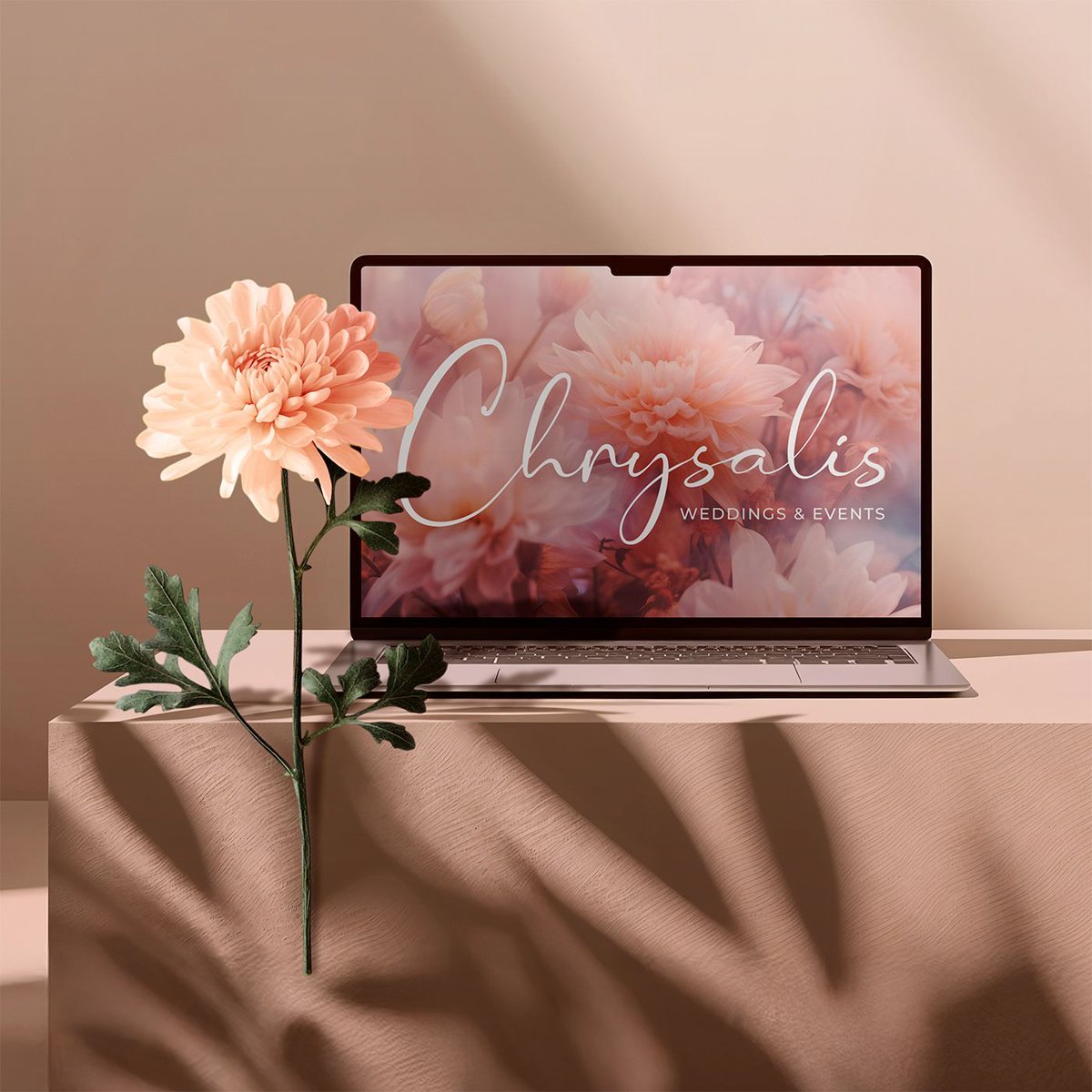 EyetoothDesign's tweet image. New in my portfolio 🎉 — a bespoke wedding &amp;amp; event planner web design, logo &amp;amp; branding for Chrysalis Weddings &amp;amp; Events. Elegant, intuitive &amp;amp; fully responsive. 💻💍
⠀
More: bit.ly/4k2tKIw 
#WebDesign #WeddingPlannerBranding #LogoDesign #EventPlannerWebDesign #Branding