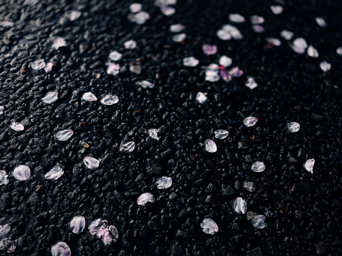 Verdad or Lüge... who gives a damn? They fused that day, you and I both know it. What remains is a вымысел, cloaked in fantaisie. Pull the trigger.

#スマートフォン越しの私の世界

#届かなくていい