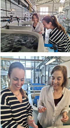 ISMrevistaMar's tweet photo. El pasado 20 de junio, la directora #CNF #Bamio, Isabel Costas, visitó las instalaciones del IGAFA, Instituto Galego de Formación en Acuicultura, donde fue recibida por su vicedirectora Isabel Fdez. y pudo conocer de primera mano la oferta formativa e instalaciones del Instituto. https://t.co/PTIXh4CZPE
