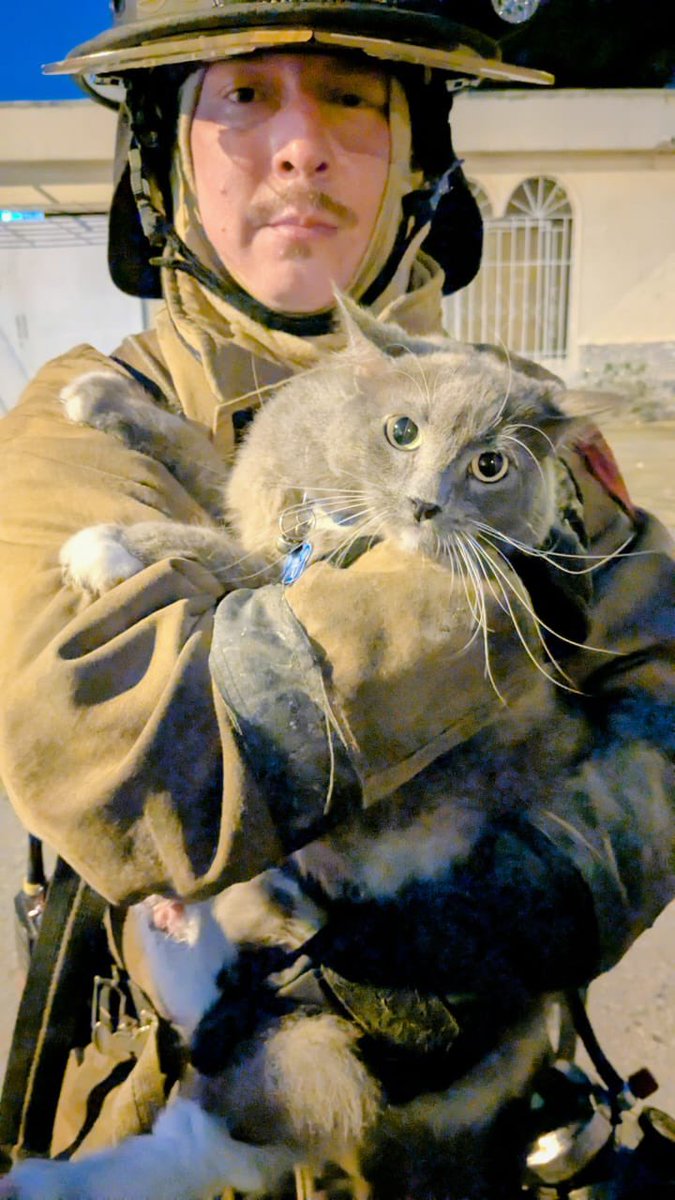 BomberosGYE's tweet image. #BCBGInforma | Cerca de las 5:00 de esta madrugada recibimos una alerta por incendio en una vivienda ubicada en la Alborada Sexta Etapa. 

Desde el #BCBG despachamos cuatro unidades de combate, una de rescate, una ambulancia y un vehículo para recarga de equipos de respiración…