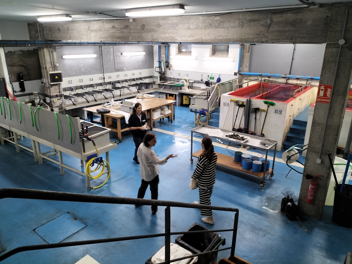 ISMrevistaMar's tweet photo. El pasado 20 de junio, la directora #CNF #Bamio, Isabel Costas, visitó las instalaciones del IGAFA, Instituto Galego de Formación en Acuicultura, donde fue recibida por su vicedirectora Isabel Fdez. y pudo conocer de primera mano la oferta formativa e instalaciones del Instituto. https://t.co/PTIXh4CZPE
