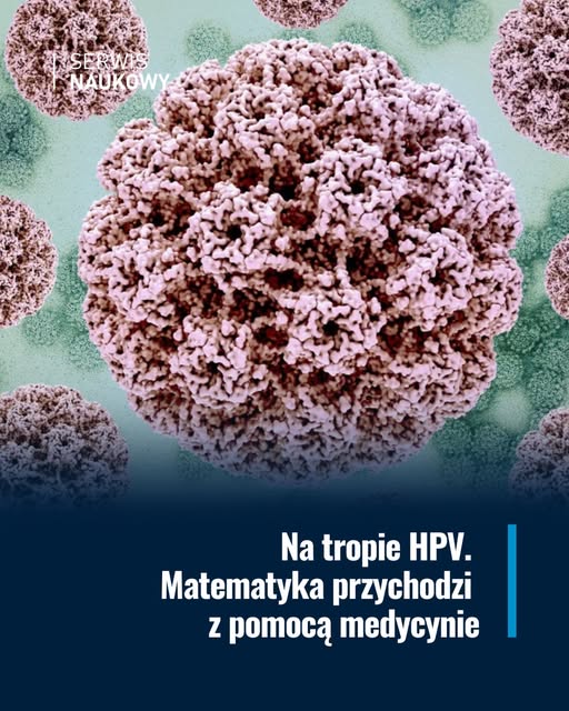 ICM University of Warsaw (@icm_uw) on Twitter photo Serwis Naukowy <a href="/UniWarszawski/">Uniwersytet Warszawski</a>:
"Naukowcy z uniwersyteckiego ICM wykazali, że ich algorytm jest jednym z najszybszych, najdokładniejszych i najłatwiejszych sposobów wykrywania genotypów #HPV z danych sekwencjonowania nowej generacji.
Czytaj dalej👇
serwisnaukowy.uw.edu.pl/na-tropie-hpv-… Serwis Naukowy <a href="/UniWarszawski/">Uniwersytet Warszawski</a>:
"Naukowcy z uniwersyteckiego ICM wykazali, że ich algorytm jest jednym z najszybszych, najdokładniejszych i najłatwiejszych sposobów wykrywania genotypów #HPV z danych sekwencjonowania nowej generacji.
Czytaj dalej👇
serwisnaukowy.uw.edu.pl/na-tropie-hpv-…