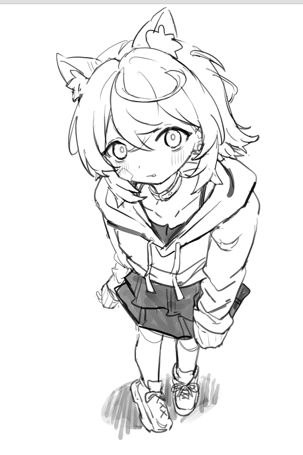 猫本わた (@nekomotowata) on Twitter photo 