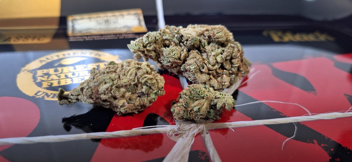 ThatWeedGuy101's tweet photo. Greenhouse #skywalker 
#Mmemberville https://t.co/73uZTCjgt3