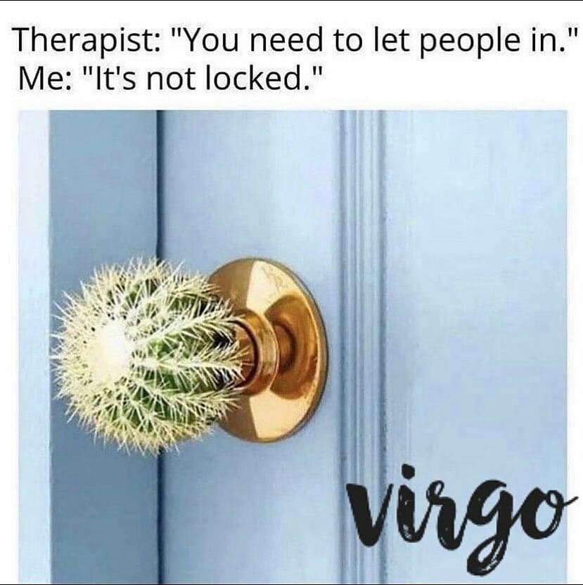 virgo life: