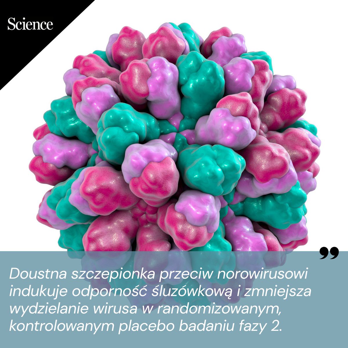 🔍 Wyniki badań 🇺🇸 nad doustną szczepionką przeciw norowirusowi: norowirus to główna przyczyna wirusowego zapalenia żołądka i jelit, szczególnie niebezpieczna w dużych skupiskach ludzi, takich jak żłobki, szkoły i domy opieki. Obecnie brak jest zatwierdzonej szczepionki przeciw