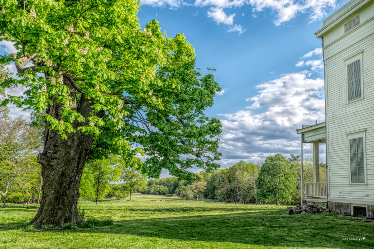 Happy #ThickTrunkTuesday
#photography #photographyisart #photographylovers #scenic #JohnJay #FoundingFathers <a href="/Jayheritage/">Jay Heritage Center at the Jay Estate</a>