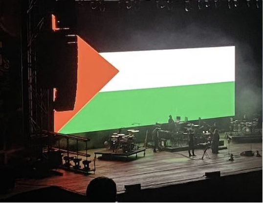 Concerto dei Massive Attack a Napoli.
Omaggio al Popolo Palestinese 🇵🇸.