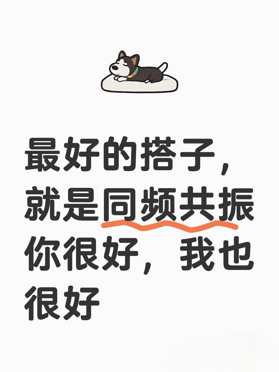 道友一行 tweet media